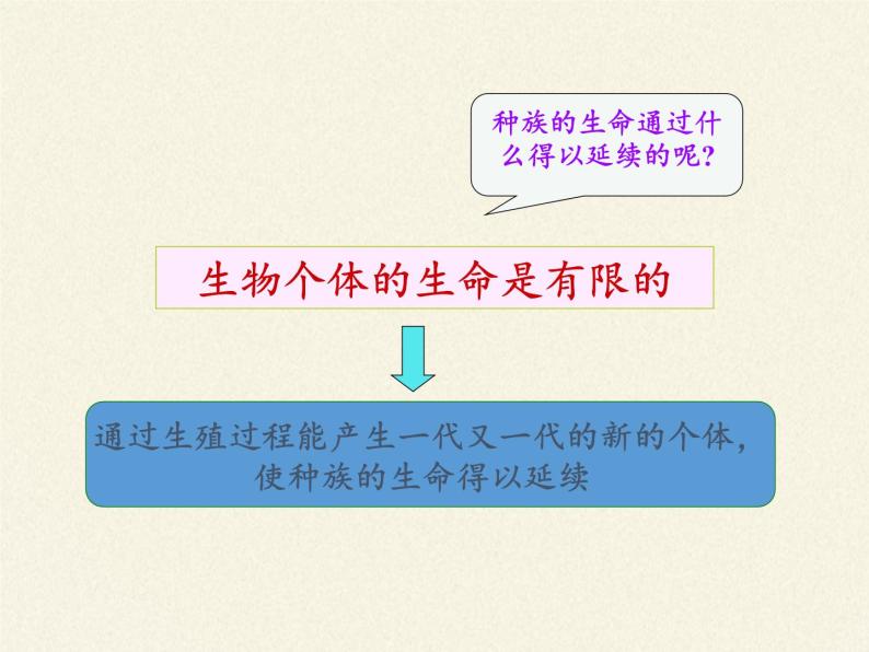 苏教版生物七年级下册 第八章 第一节 精卵结合孕育新的生命(2)（课件）02