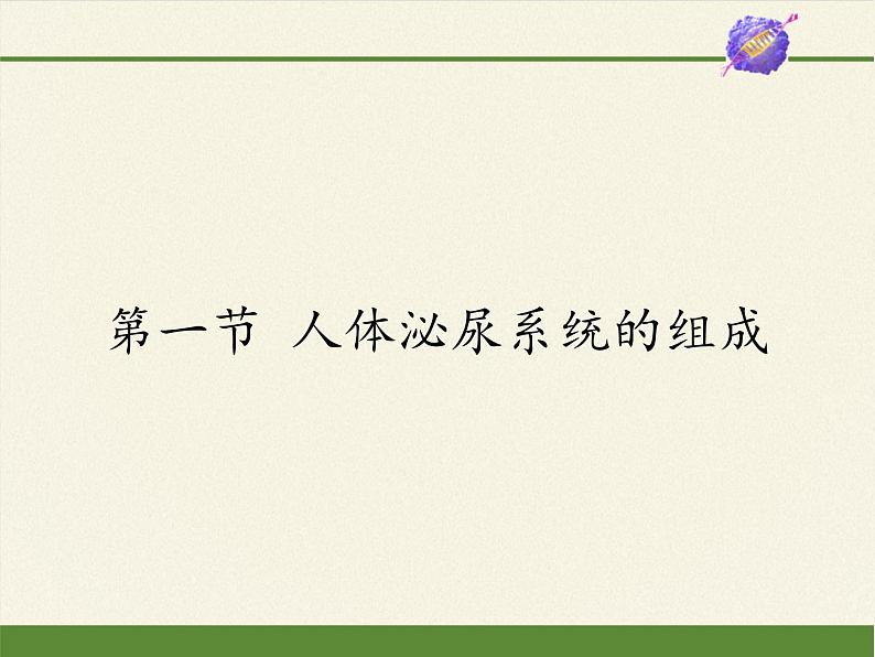 苏教版生物七年级下册 第十一章 第一节 人体泌尿系统的组成(6)(课件)01