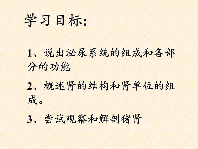 苏教版生物七年级下册 第十一章 第一节 人体泌尿系统的组成(6)(课件)05
