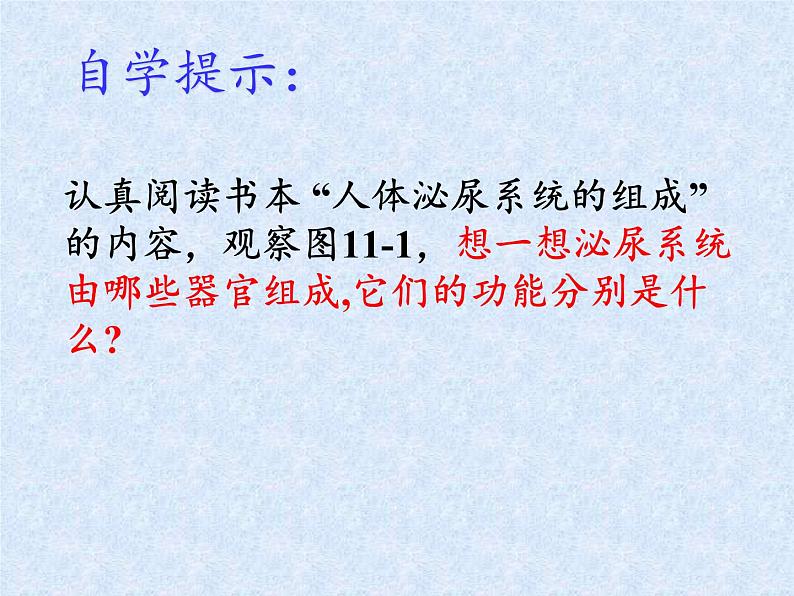 苏教版生物七年级下册 第十一章 第一节 人体泌尿系统的组成(6)(课件)06