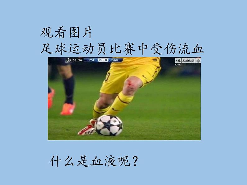 苏教版生物七年级下册 第十章 第一节 血液和血型(5)(课件)第3页