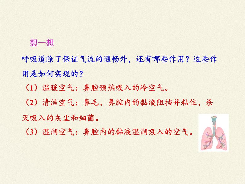 苏教版生物七年级下册 第十章 第三节 人体和外界环境的气体交换(课件)第6页