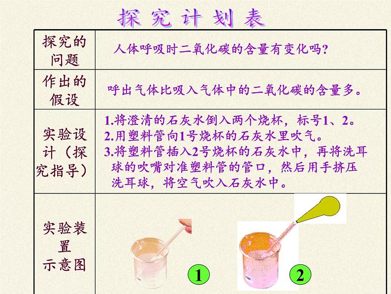 苏教版生物七年级下册 第十章 第四节 人体内的气体交换(14)(课件)第5页
