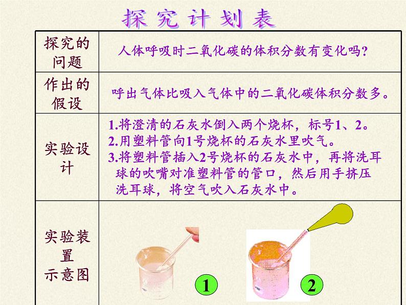 苏教版生物七年级下册 第十章 第四节 人体内的气体交换(4)(课件)第6页