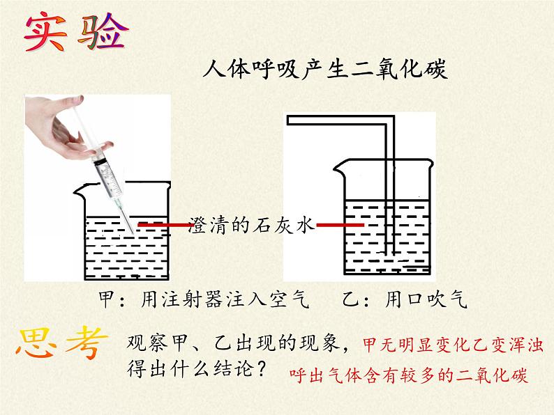 苏教版生物七年级下册 第十章 第四节 人体内的气体交换(4)(课件)第7页