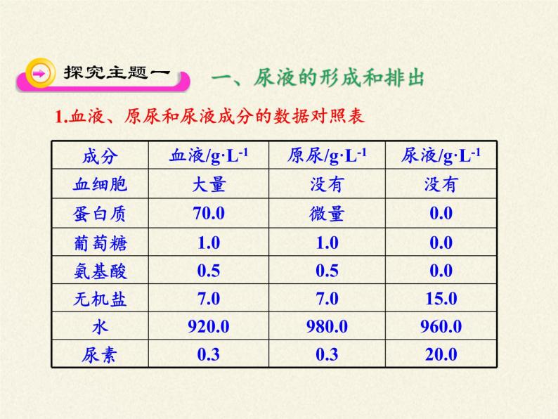 苏教版生物七年级下册 第十一章 第二节 人体废物的排出(10)（课件）04