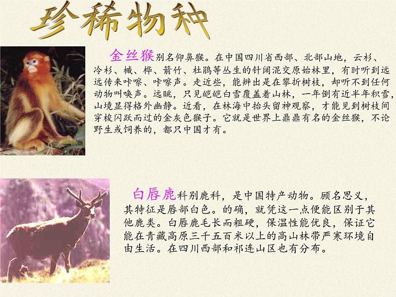 苏教版生物七年级下册 第十三章 第二节 保护生物圈——从自身做起(8)(课件)第2页