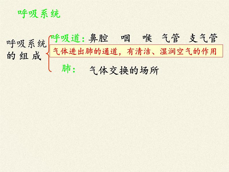 苏教版生物七年级下册 第十章 第三节 人体和外界环境的气体交换(3)(课件)07