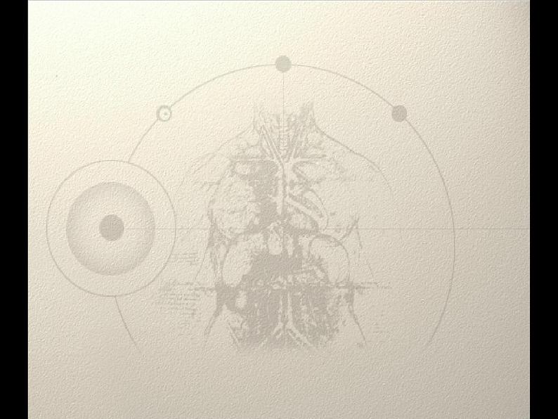 苏教版生物七年级下册 第十章 第四节 人体内的气体交换(5)(课件)07