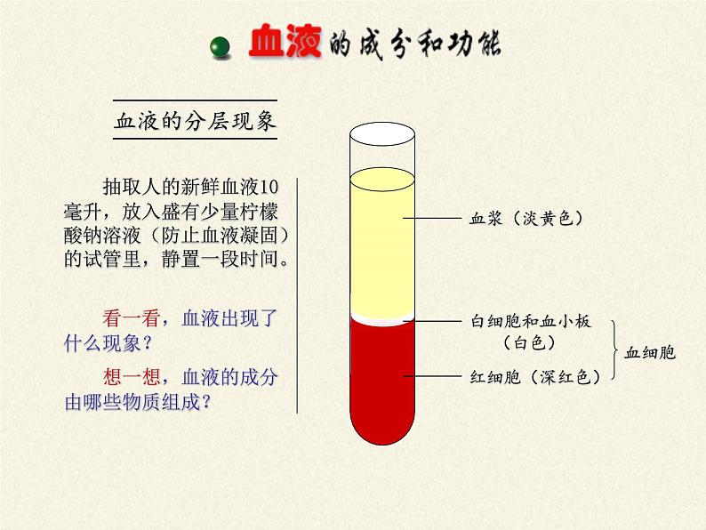 苏教版生物七年级下册 第十章 第一节 血液和血型(4)(课件)03