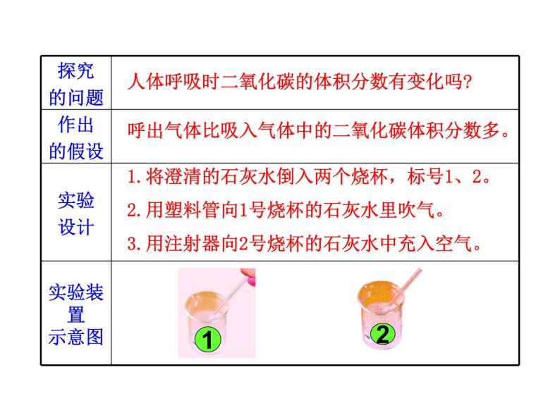 苏教版生物七年级下册 第十章 第四节 人体内的气体交换_1（课件）05