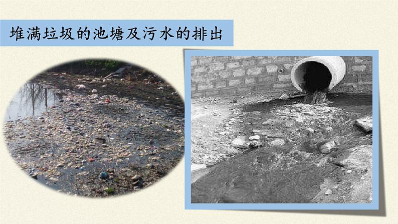 苏教版生物七年级下册 第十三章 第一节 关注生物圈——环境在恶化(课件)第5页