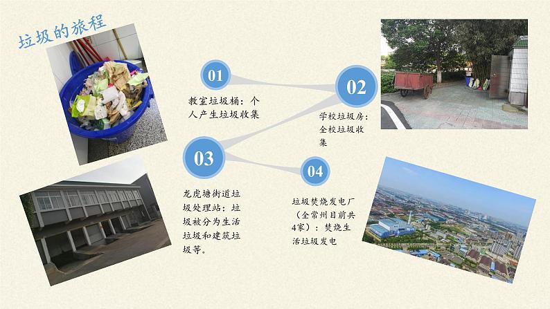 苏教版生物七年级下册 第十三章 第二节 保护生物圈——从自身做起(课件)第4页