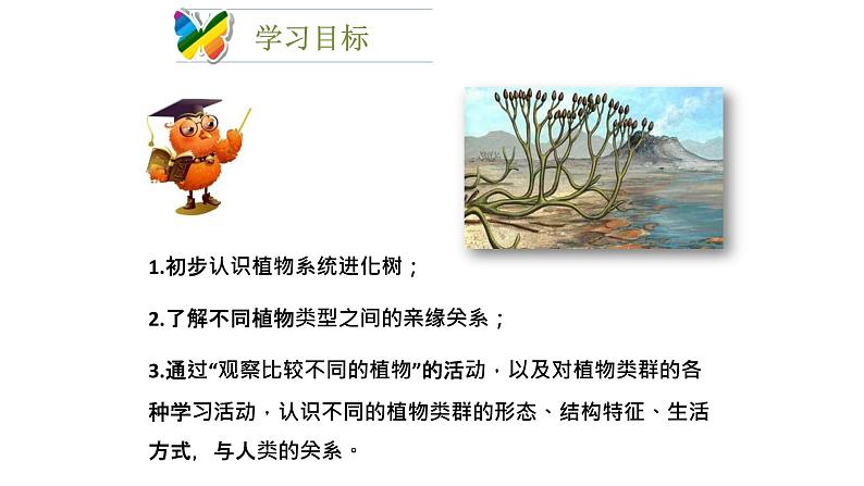 北师大版生物八年级下册第22章 《物种的多样性》22.3 植物的主要类群 教学PPT课件第3页