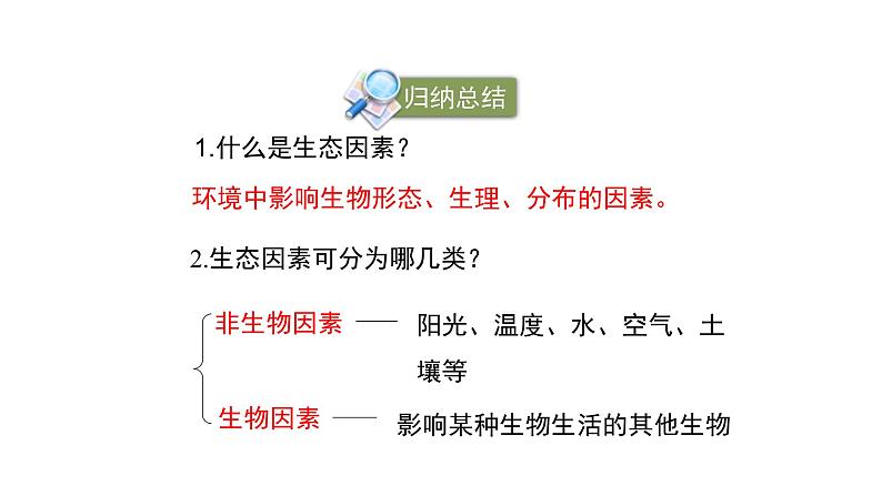 北师大版生物八年级下册第23章 《生态系统及其稳定性》23.1 生物的生存依赖一定的环境 教学PPT课件07