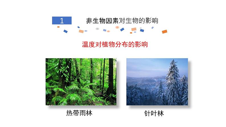 北师大版生物八年级下册第23章 《生态系统及其稳定性》23.1 生物的生存依赖一定的环境 教学PPT课件08
