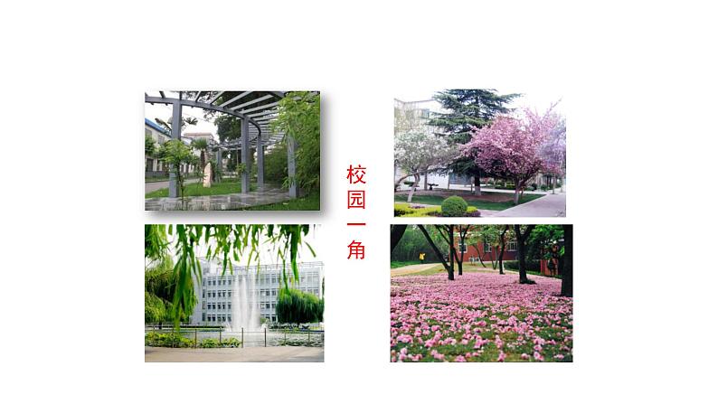 北师大版生物八年级下册第23章 《生态系统及其稳定性》23.2 生态系统概述 教学PPT课件04