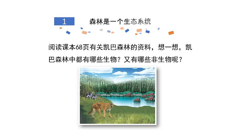 北师大版生物八年级下册第23章 《生态系统及其稳定性》23.2 生态系统概述 教学PPT课件07