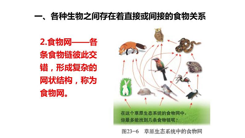 北师大版生物八年级下册第23章 《生态系统及其稳定性》23.3 生态系统的结构和功能 教学PPT课件第5页