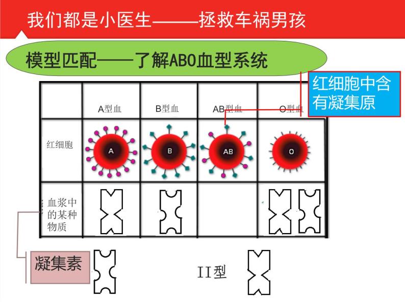 初中生物人教版七年级下册 第四节输血与血型 3 课件06