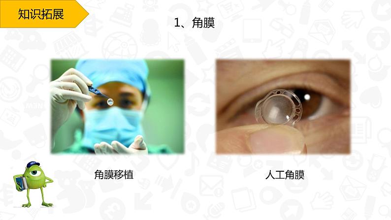 初中生物人教版七年级下册 第一节人体对外界环境的感知 1 课件第8页