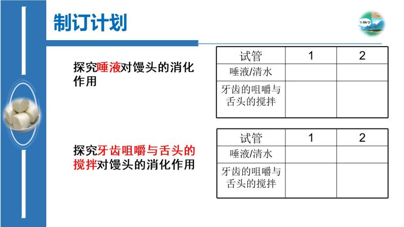 初中生物人教版七年级下册 第二节消化和吸收 课件08