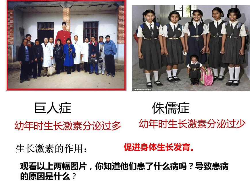 初中生物人教版七年級(jí)下冊(cè) 第四節(jié)激素調(diào)節(jié) 課件第7頁(yè)