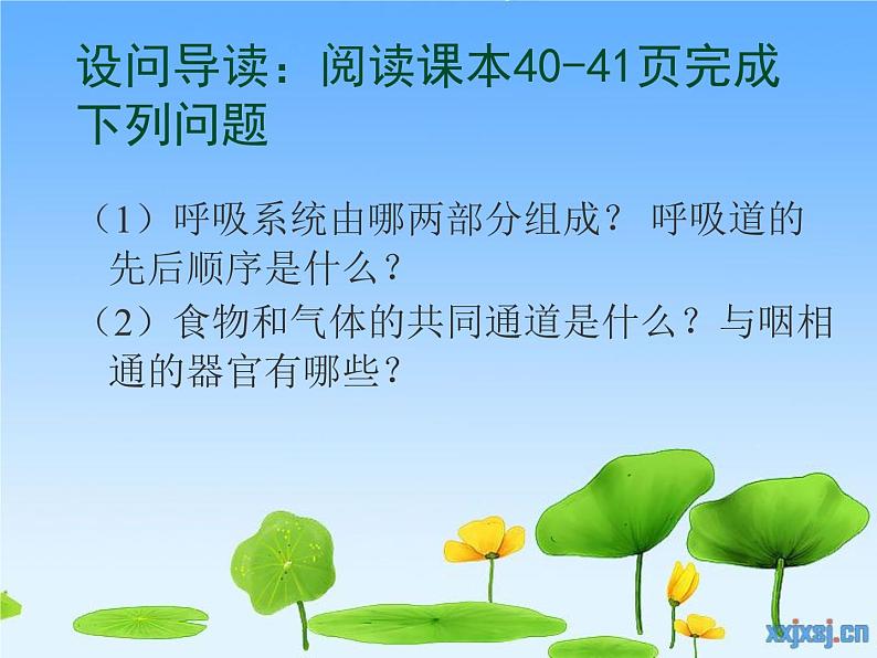 初中生物人教版七年级下册 第一节呼吸道对空气的处理 2 课件第2页