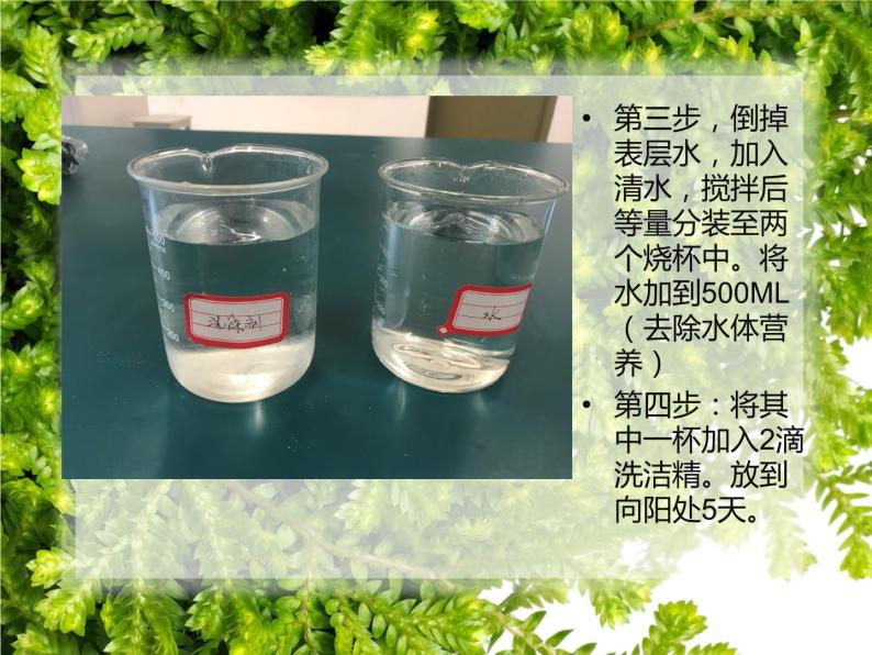 初中生物人教版七年级下册 第二节探究环境污染对生物的影响 2 课件03