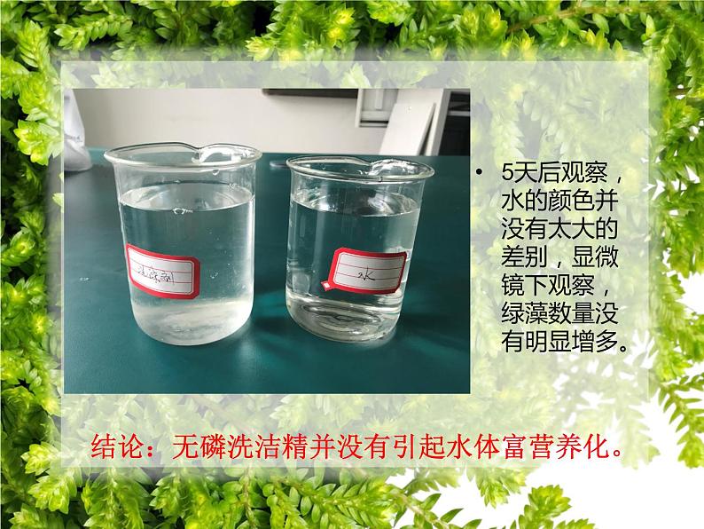 初中生物人教版七年级下册 第二节探究环境污染对生物的影响 2 课件第4页