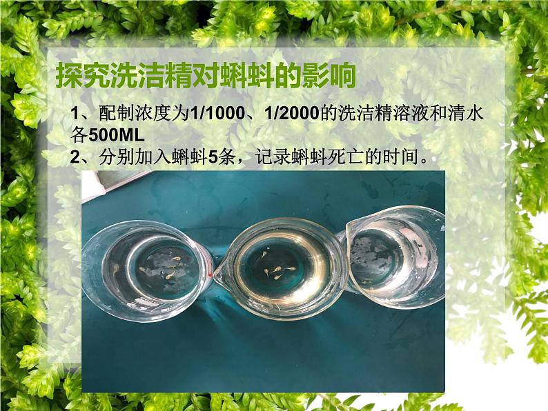 初中生物人教版七年级下册 第二节探究环境污染对生物的影响 2 课件第5页