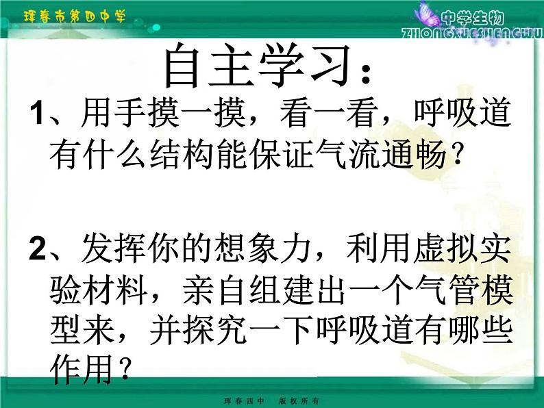 初中生物人教版七年级下册 第一节呼吸道对空气的处理 课件第3页