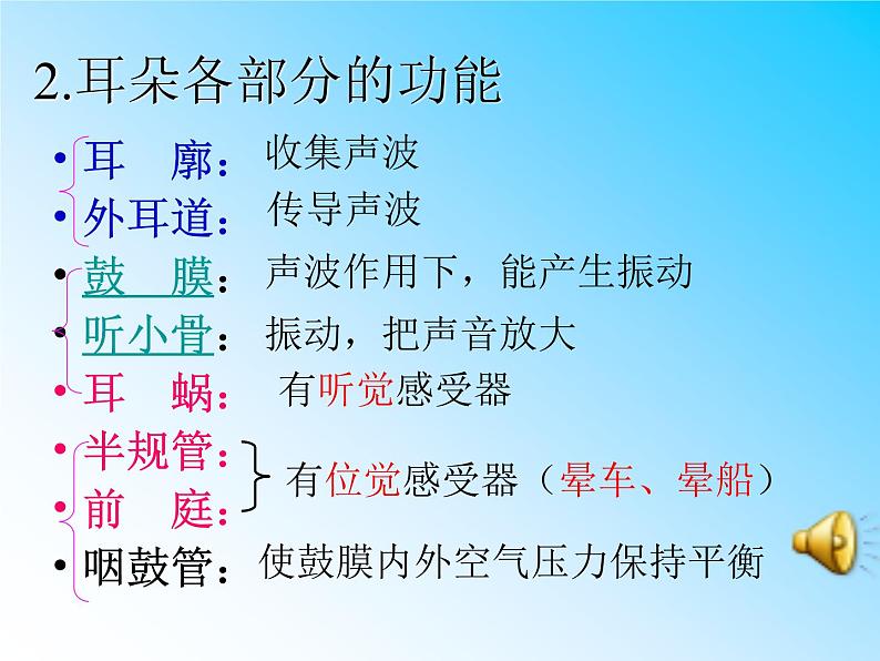 初中生物人教版七年级下册 第一节人体对外界环境的感知 2 课件05