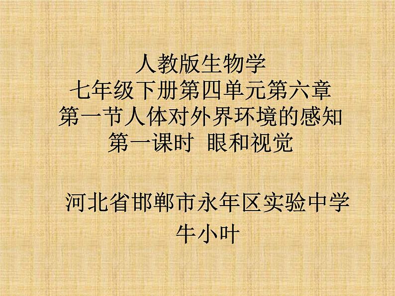初中生物人教版七年级下册 第一节人体对外界环境的感知 课件01