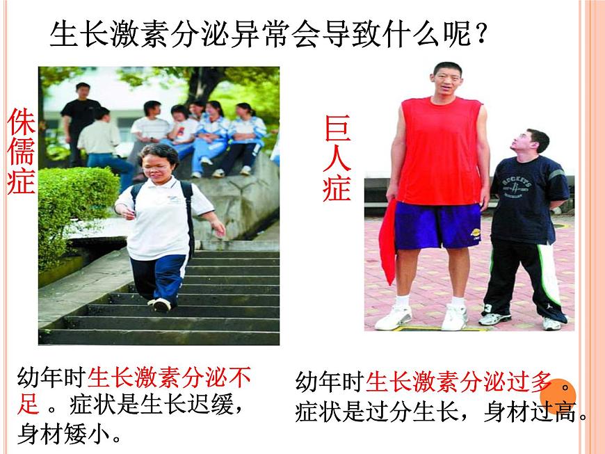初中生物人教版七年級下冊 第四節(jié)激素調(diào)節(jié) 課件第6頁