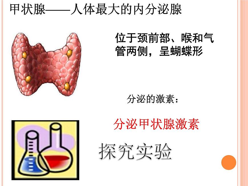 初中生物人教版七年級下冊 第四節(jié)激素調(diào)節(jié) 課件第7頁