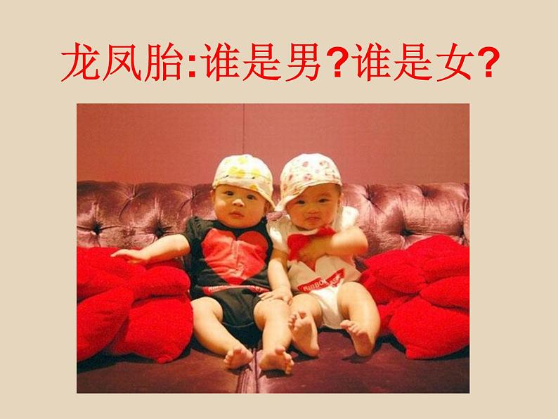 初中生物人教版七年级下册 第二节人的生殖 课件第3页