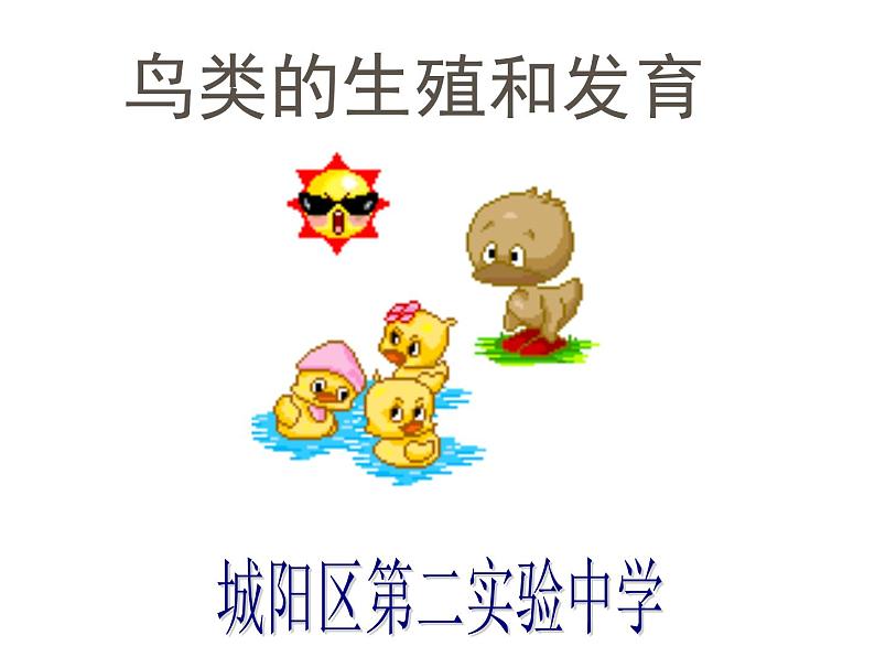 初中生物人教版八年级下册 第四节鸟的生殖和发育 4 课件第2页
