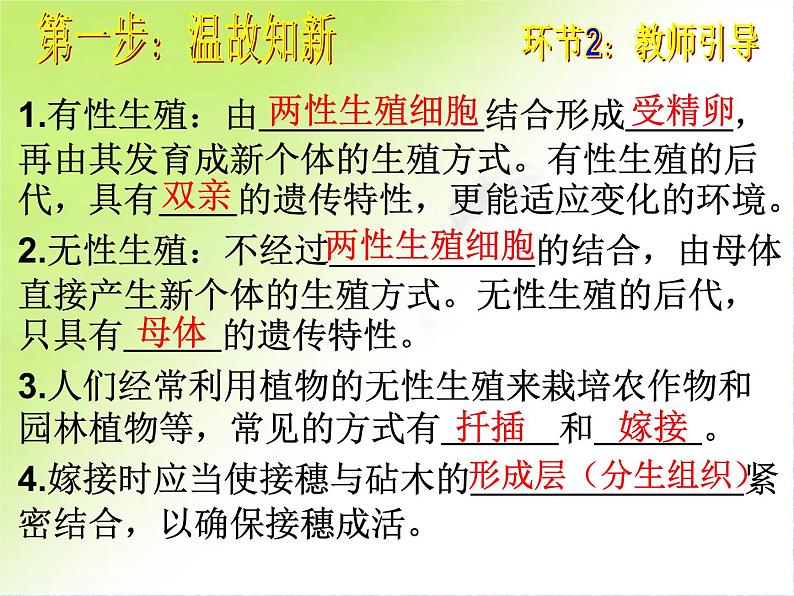 初中生物人教版八年级下册 第二节昆虫的生殖和发育 课件第2页