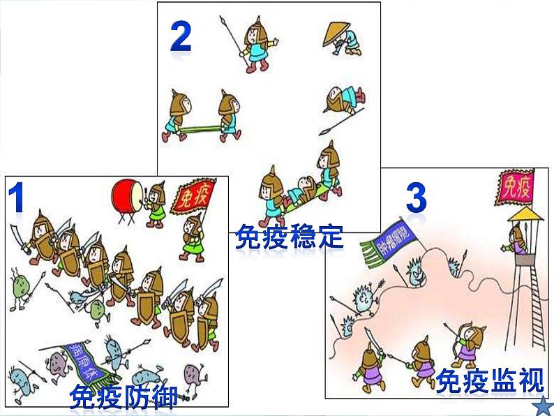 初中生物人教版八年级下册 第二节免疫与计划免疫 2 课件第3页
