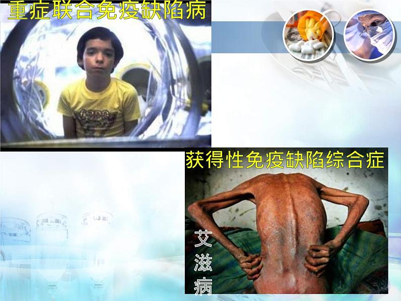 初中生物人教版八年级下册 第二节免疫与计划免疫 2 课件第6页