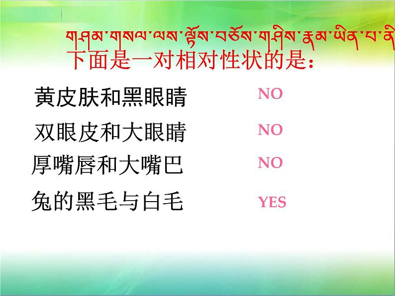 初中生物人教版八年级下册 第三节基因的显性和隐性 2 课件第2页