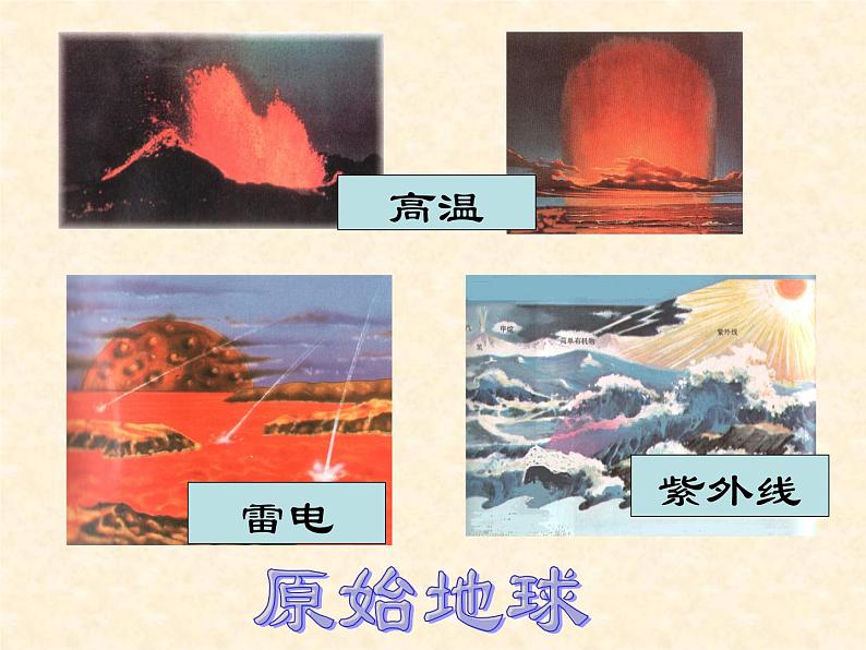 初中生物人教版八年级下册 第一节地球上生命的起源 1 课件第7页