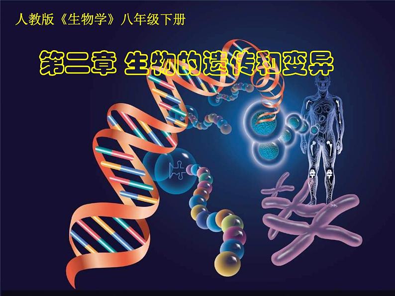 初中生物人教版八年级下册 第二节基因在亲子代间的传递 课件第1页