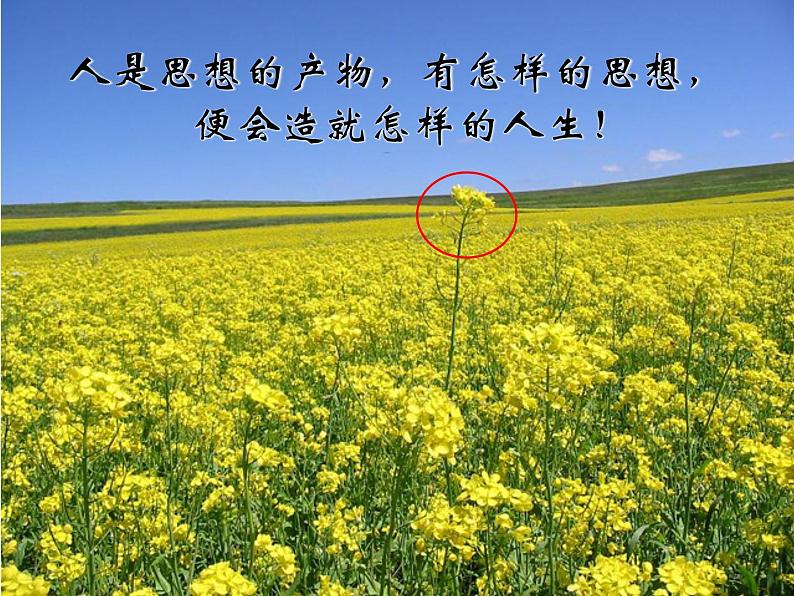 初中生物人教版八年级下册 第一节传染病及其预防 课件第2页