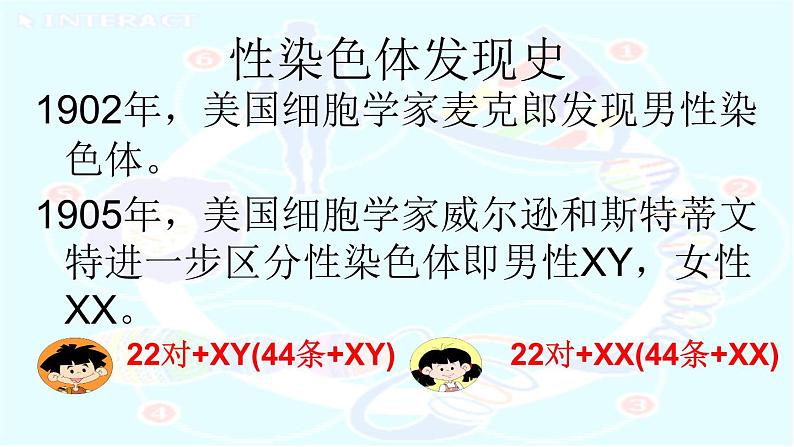 初中生物人教版八年级下册 第四节人的性别遗传 1 课件第6页