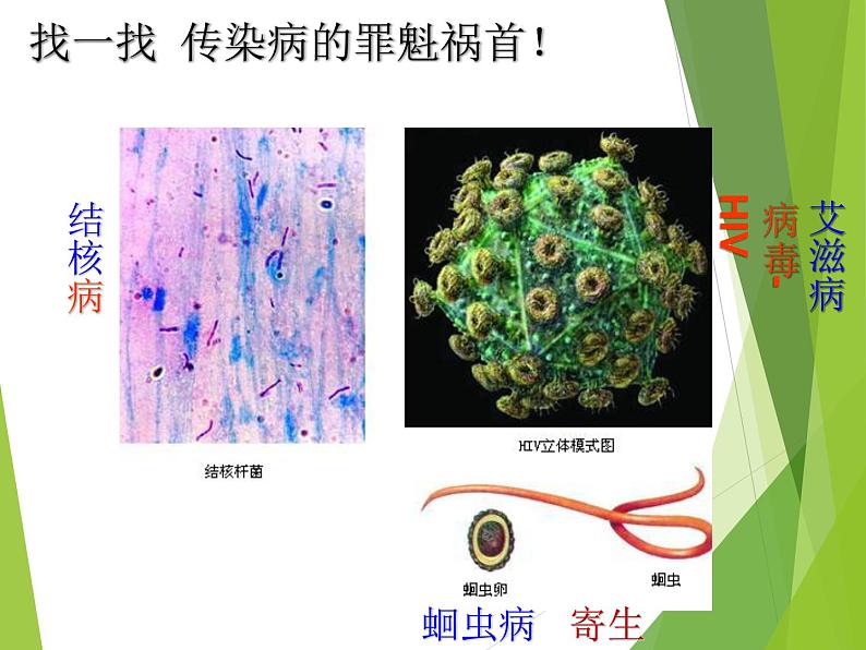 初中生物人教版八年级下册 第一节传染病及其预防 课件06