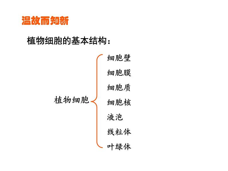 2.1.3动物细胞课件PPT第2页