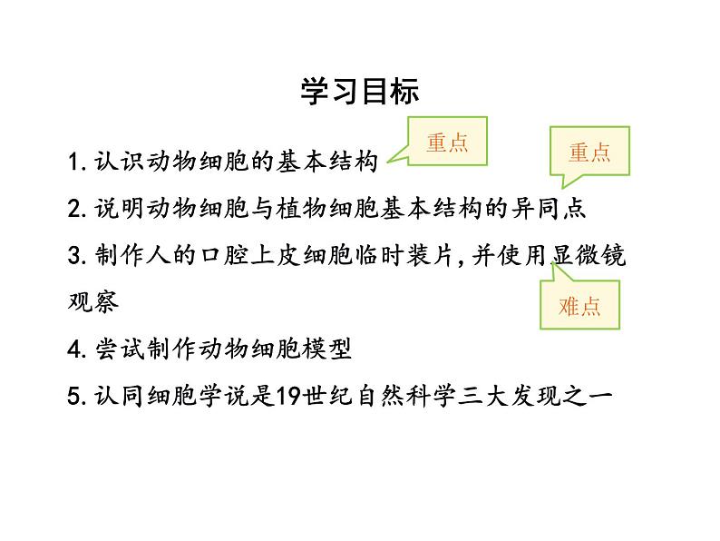 2.1.3动物细胞课件PPT第3页