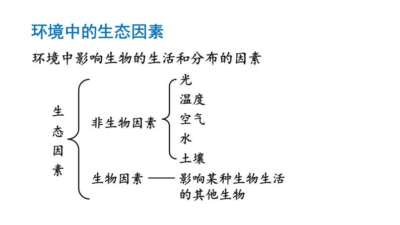 1.2.1生物与环境的关系课件PPT08